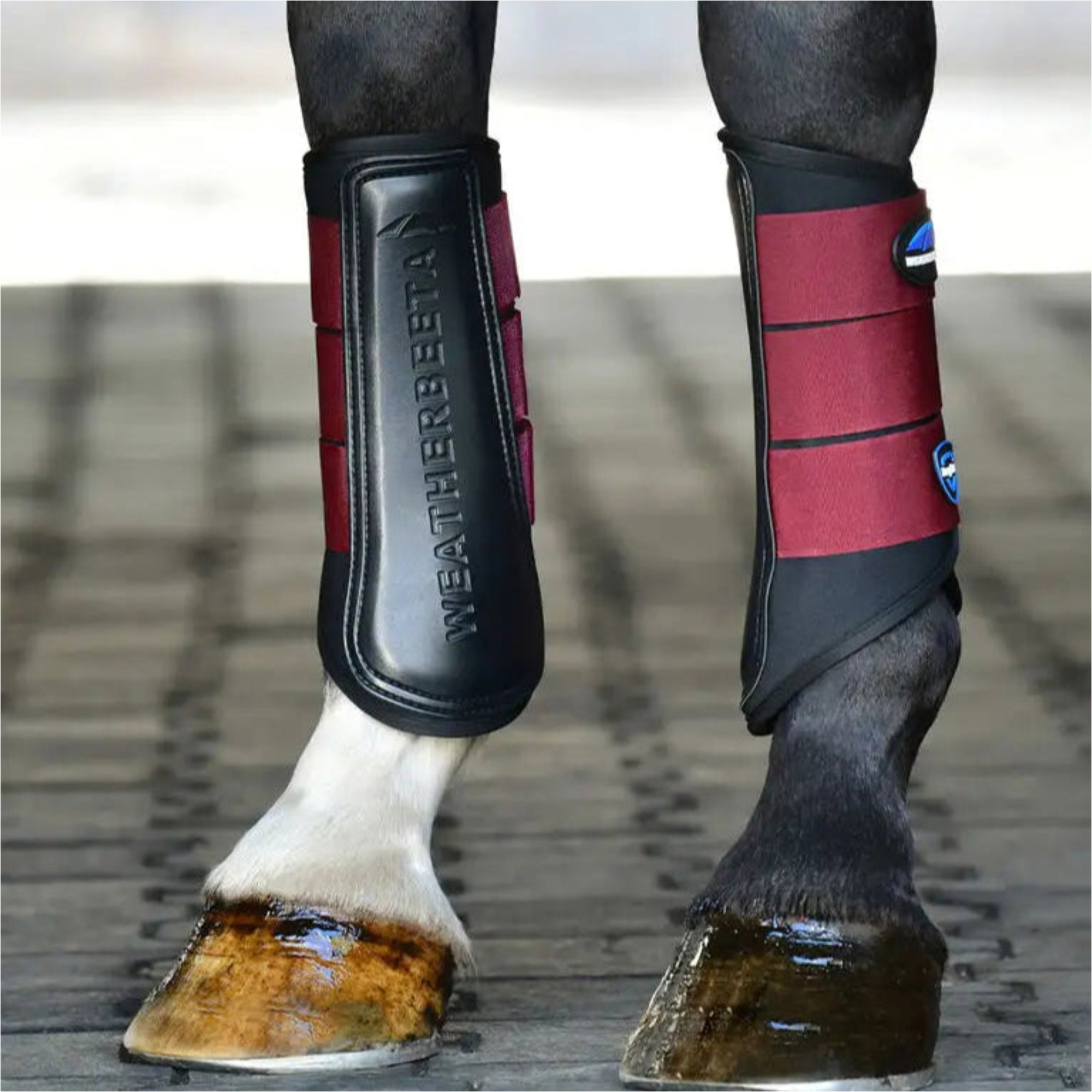 2025 Weatherbeeta Tough-Tec Prime Brushing Boots 1027503 - Black Maroon
